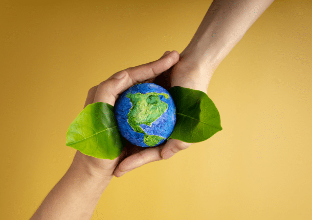 Food and Fostering Children: Teaching Sustainable Food Choices to Foster Kids