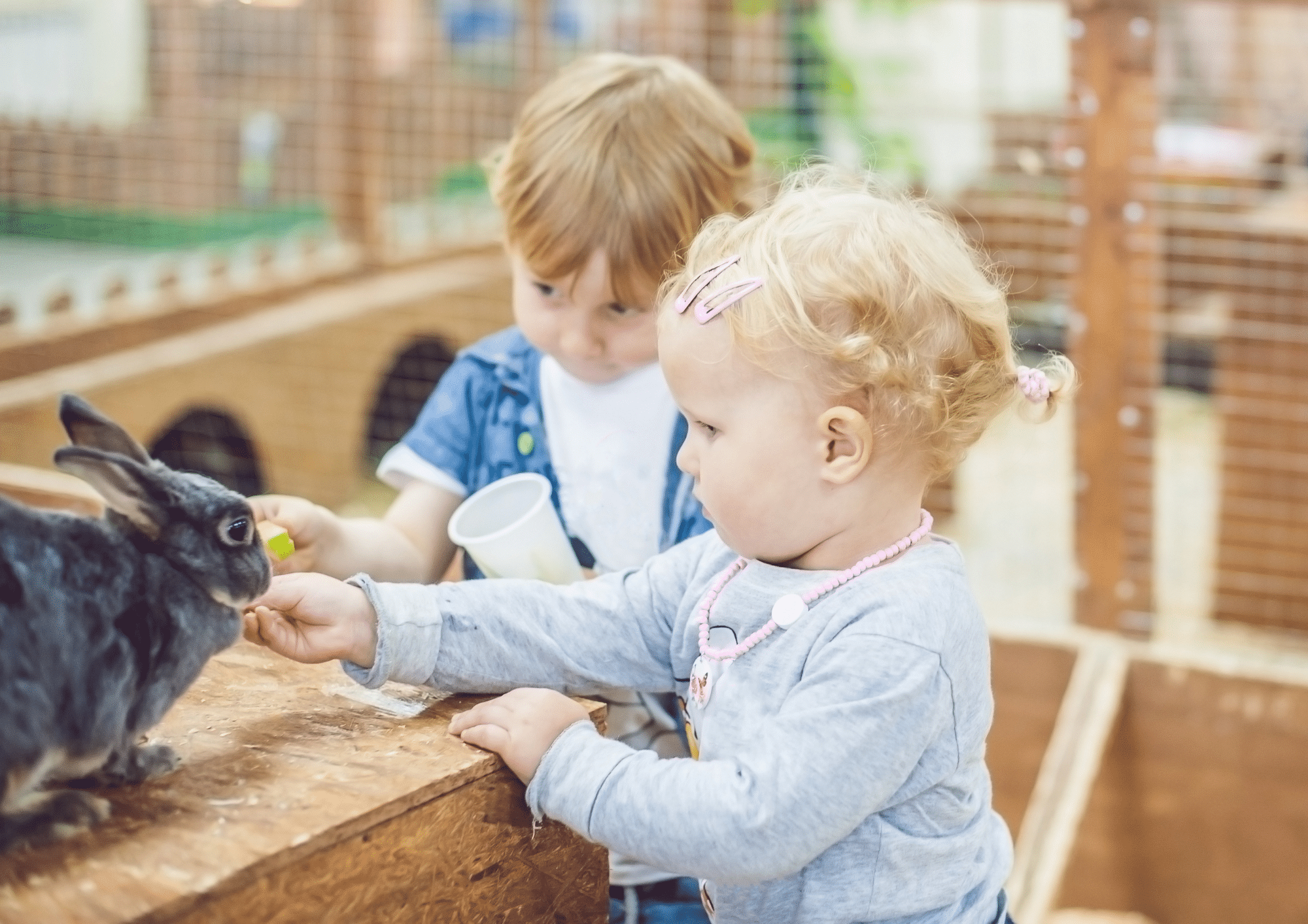 Summer Holidays As A Foster Parent