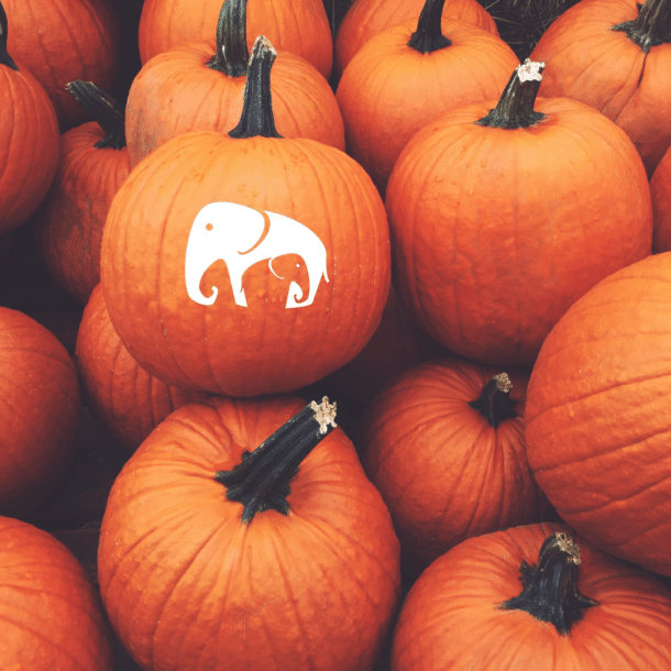 What’s on in Hereford this Halloween?