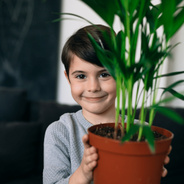 The Therapeutic Benefits of Caring for Houseplants: Supporting Foster Children with Löv Leaf in Hereford